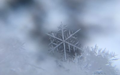 December Newsletter