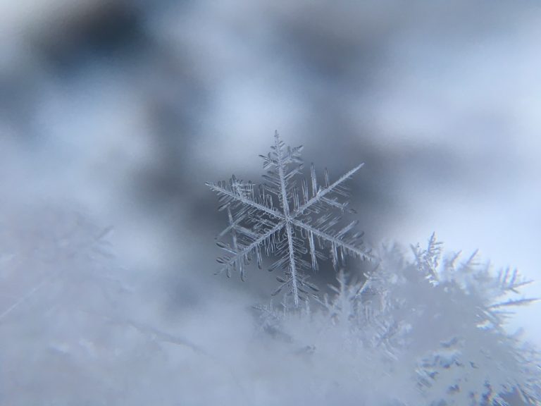 December Newsletter