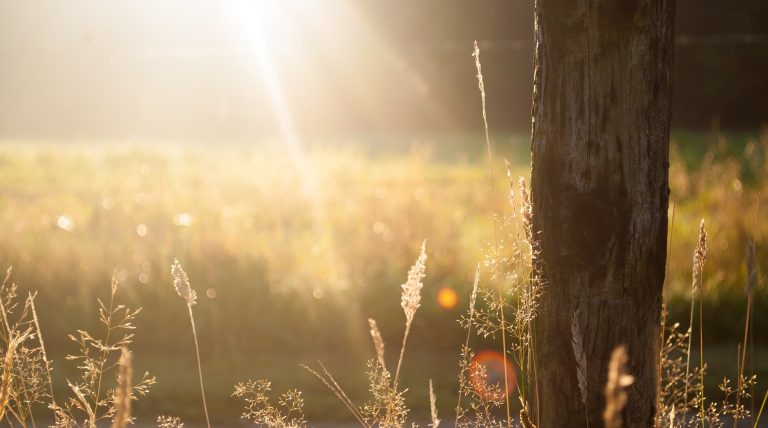 April 2019 in which I pray for sunshine